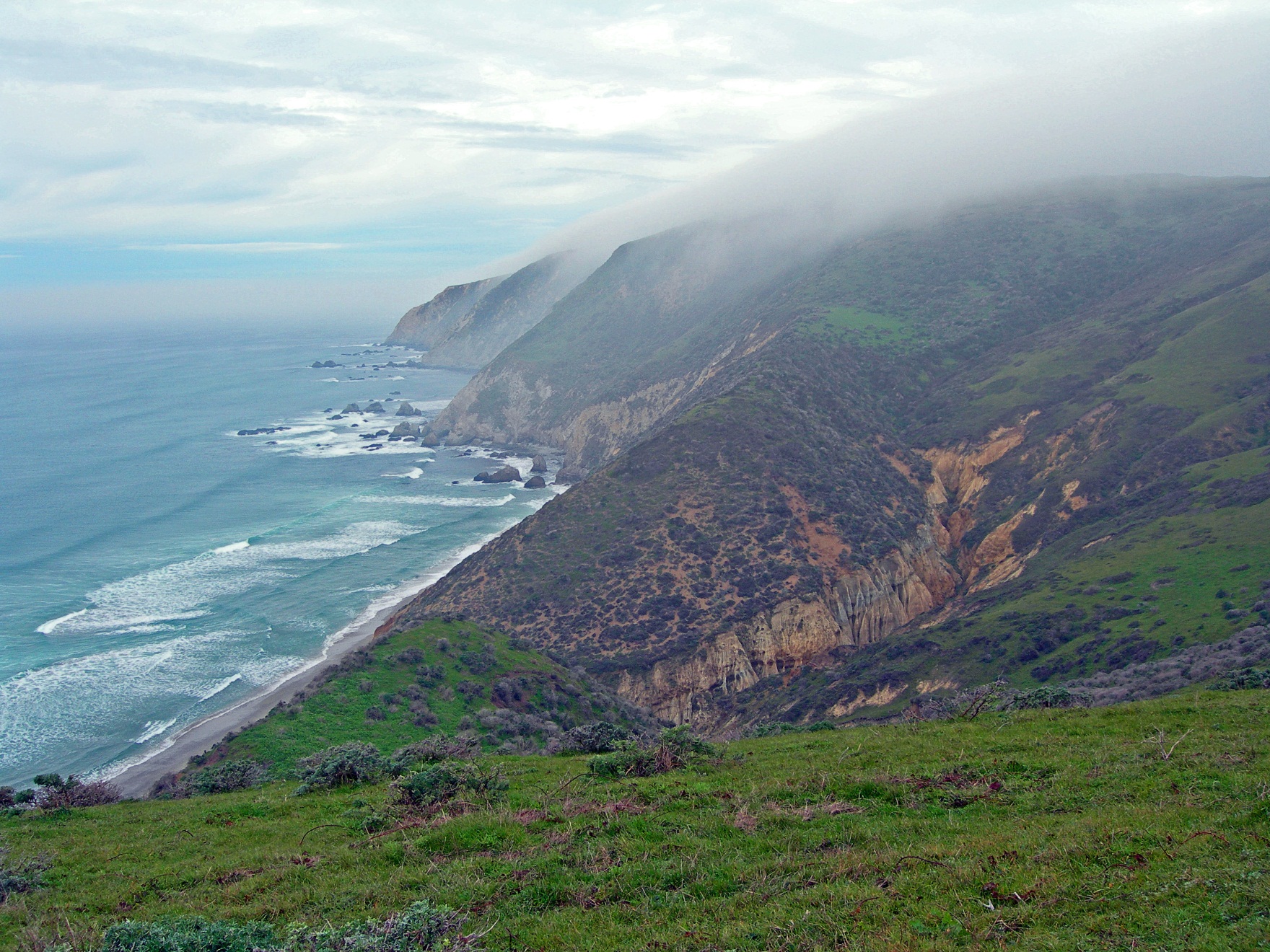 Tomales Point Trail Point Reyes National Seashore California Trekking
