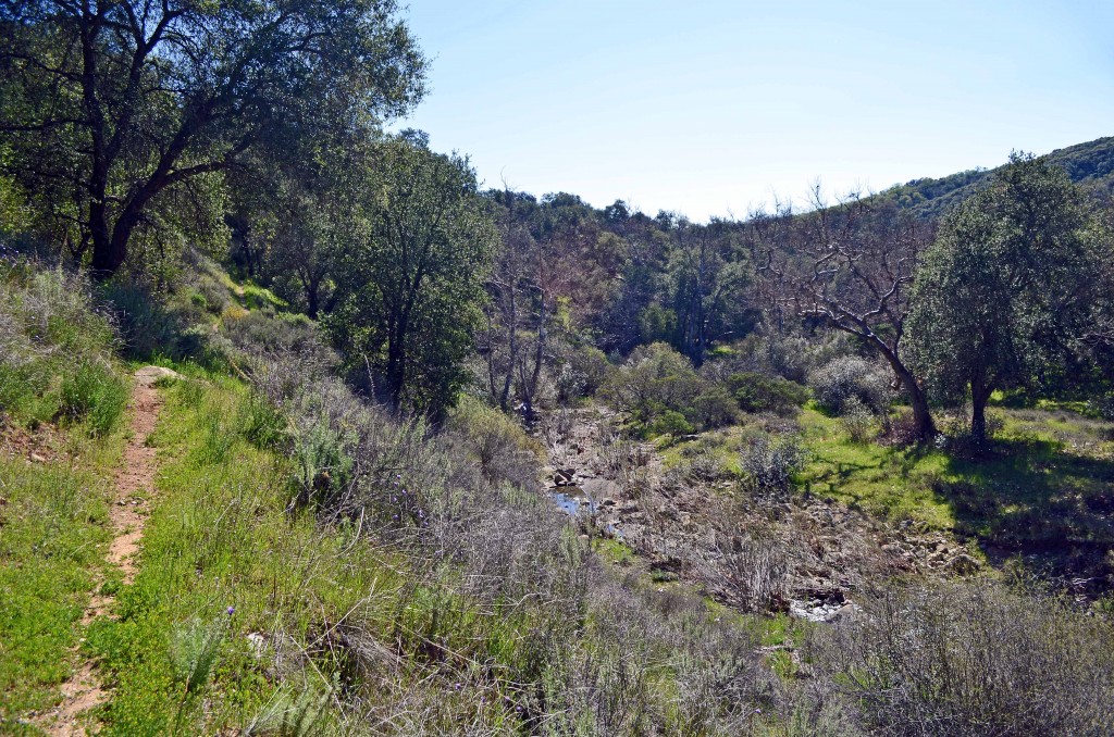 Trout Creek Trail Garcia Wilderness California TrekkingCalifornia